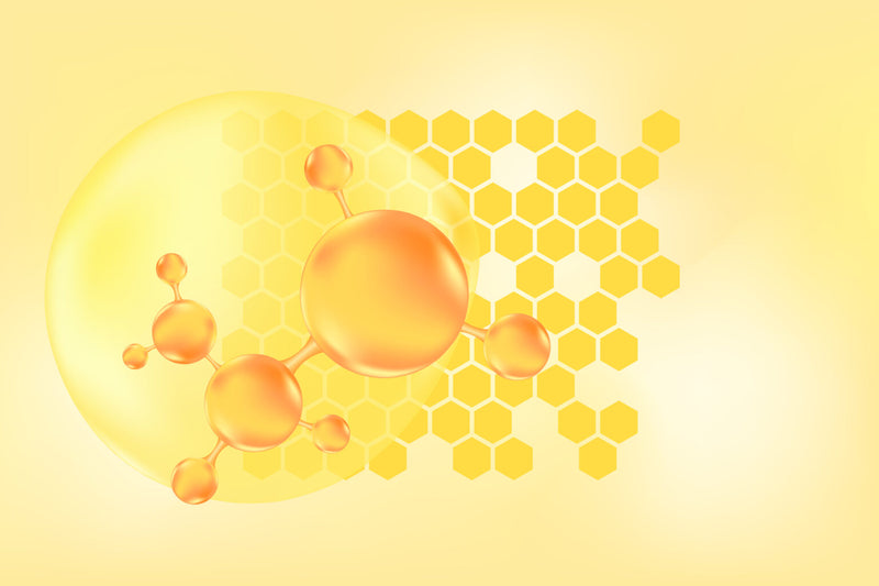Peptides in Skincare vs Marine Extracts: Natural Collagen Support from the Ocean