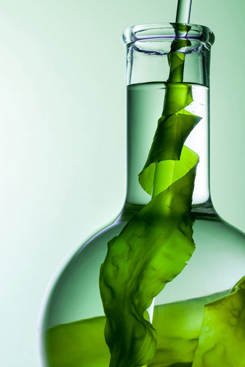 Retinol vs Fucoidan: A Gentler Path to Radiant Skin