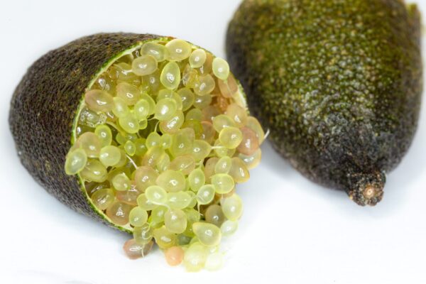 Oceanic Exfoliating Balm - Image 3